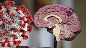 शोध: मस्तिष्क सिकुड़न का कारण बन सकता है कोविड